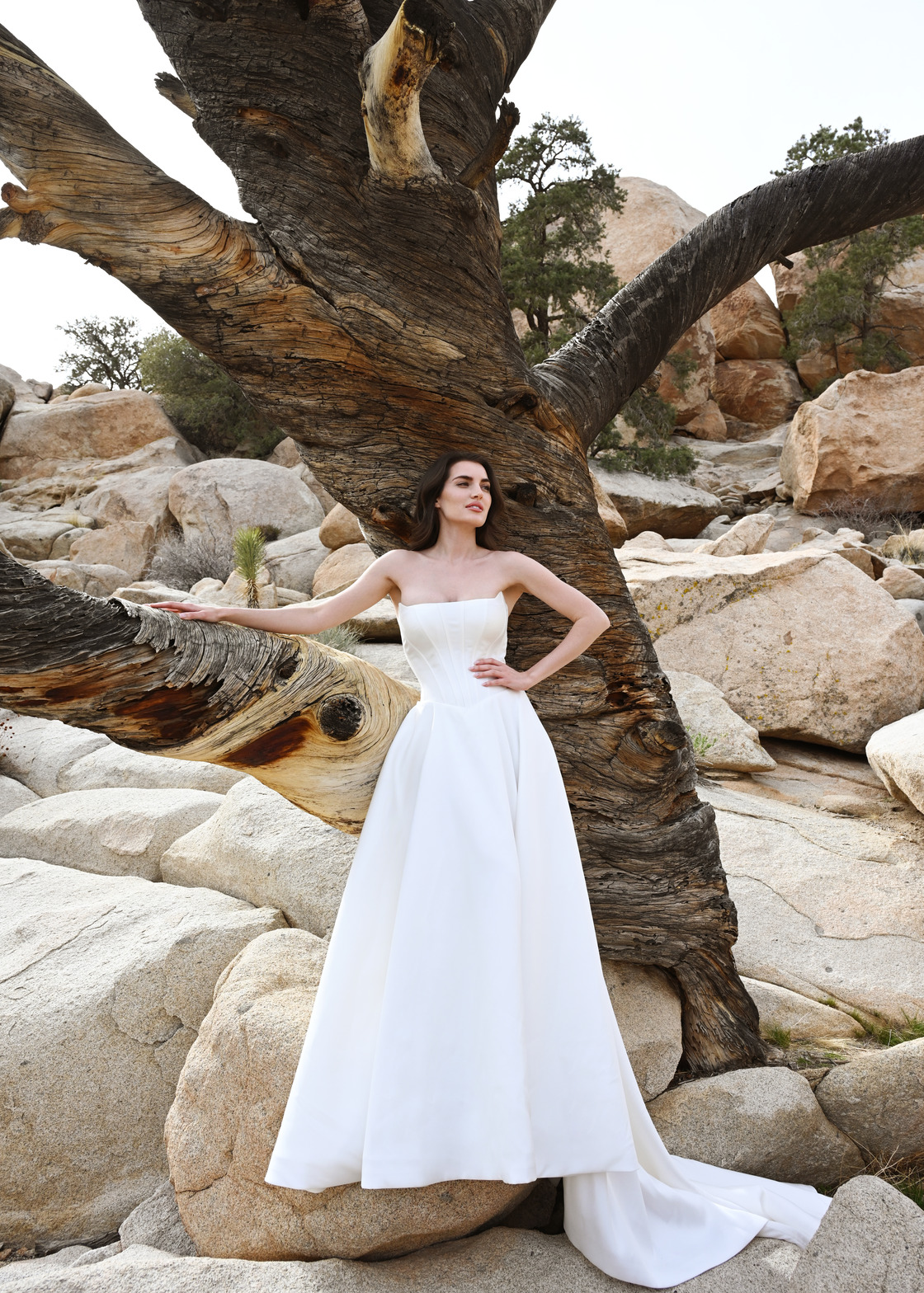 SEQUOIA by Dando London